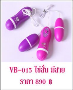 ไข่สั่น vibrator VB-015-1