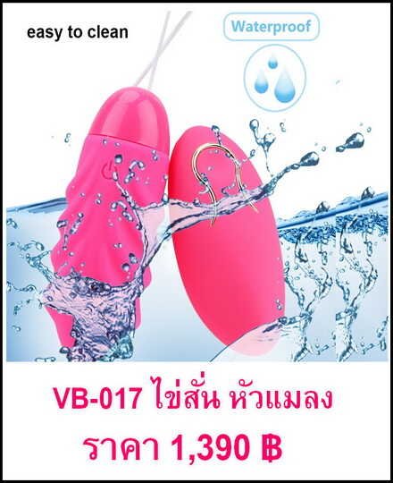 vibrator-VB-017