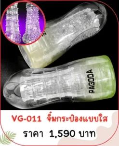 vagina VG-011