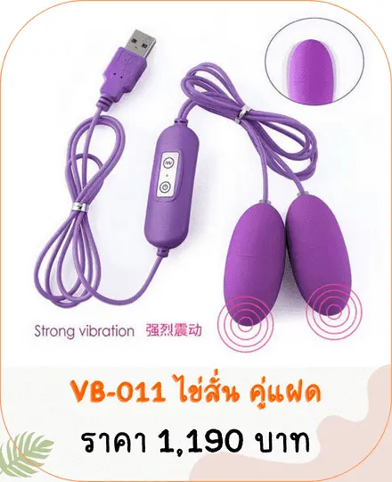 vibrator-VB-011