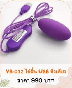 vibrator-VB-012