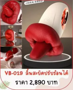 vibrator-VB-019